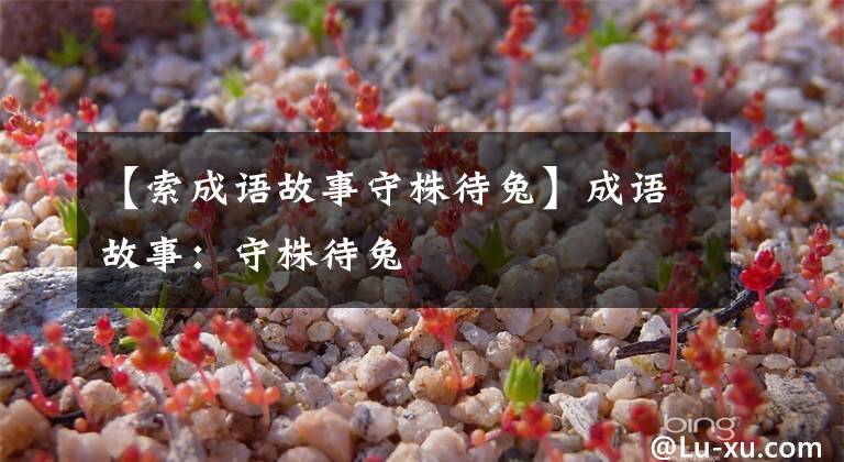 【索成语故事守株待兔】成语故事:守株待兔