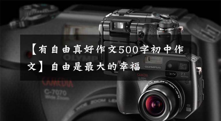 【有自由真好作文500字初中作文】自由是最大的幸福