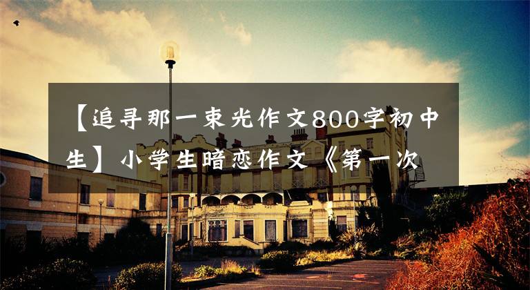 【追寻那一束光作文800字初中生】小学生暗恋作文《第一次奋进》太惊艳了!这篇文笔服从了!