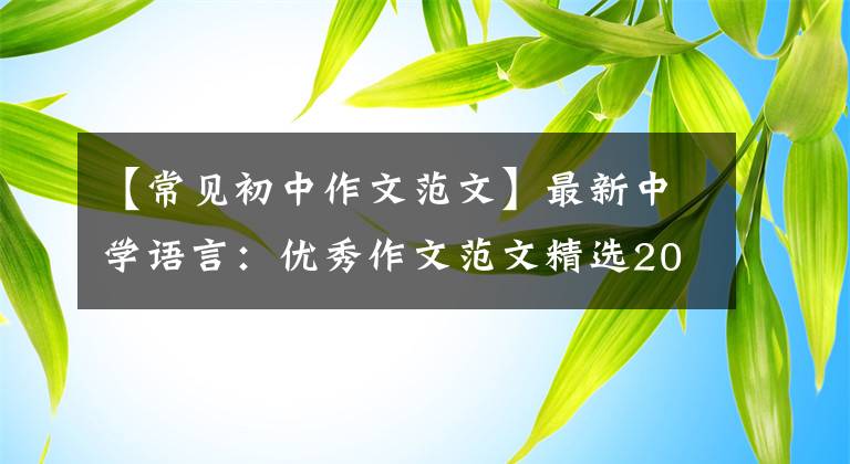 【常见初中作文范文】最新中学语言:优秀作文范文精选20篇!包括评论,给孩子上一课