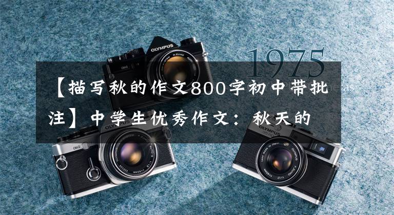 【描写秋的作文800字初中带批注】中学生优秀作文:秋天的味道