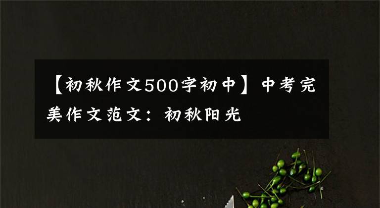 【初秋作文500字初中】中考完美作文范文:初秋阳光