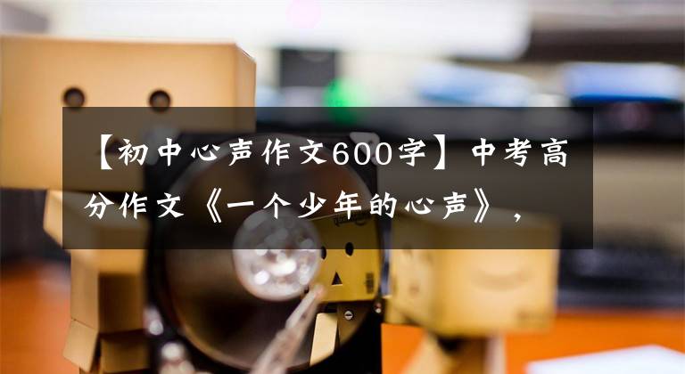 【初中心声作文600字】中考高分作文《一个少年的心声》,名词复习|中学作文素材积累。