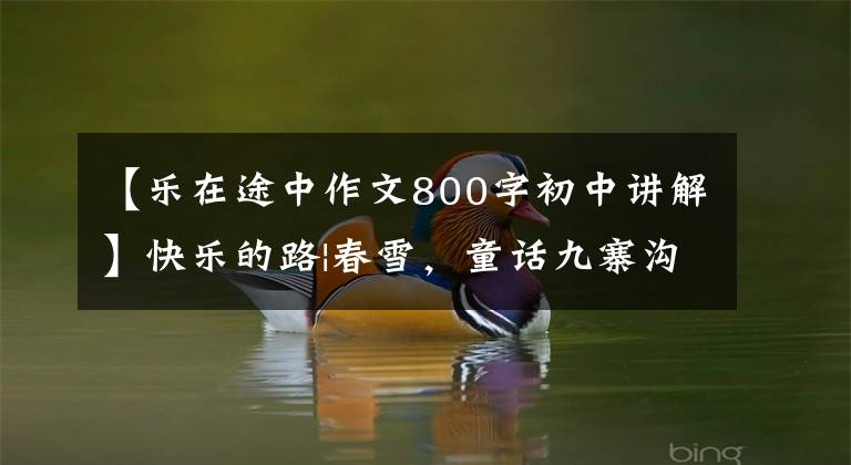 【乐在途中作文800字初中讲解】快乐的路|春雪,童话九寨沟
