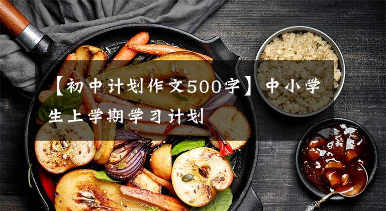 【初中计划作文500字】中小学生上学期学习计划