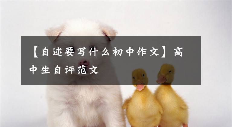 【自述要写什么初中作文】高中生自评范文
