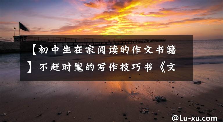 【初中生在家阅读的作文书籍】不赶时髦的写作技巧书《文心》