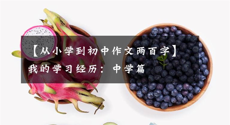 【从小学到初中作文两百字】我的学习经历:中学篇
