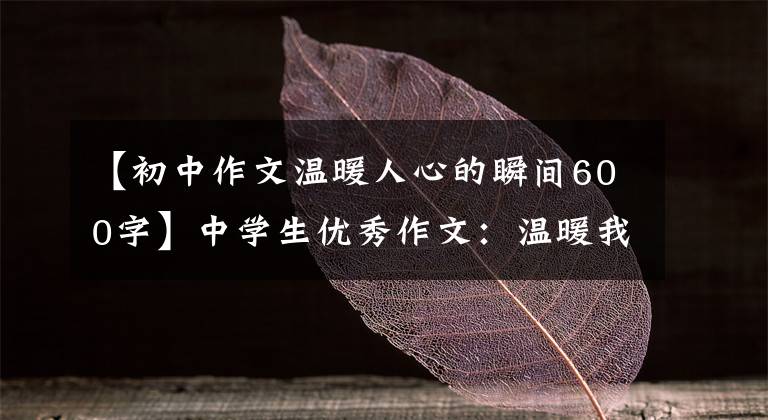 【初中作文温暖人心的瞬间600字】中学生优秀作文：温暖我的瞬间