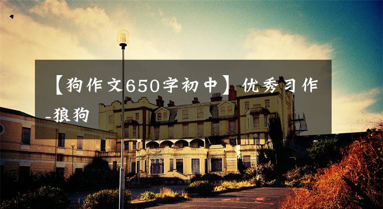 【狗作文650字初中】优秀习作-狼狗