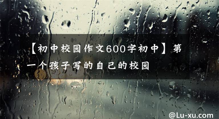 【初中校园作文600字初中】第一个孩子写的自己的校园