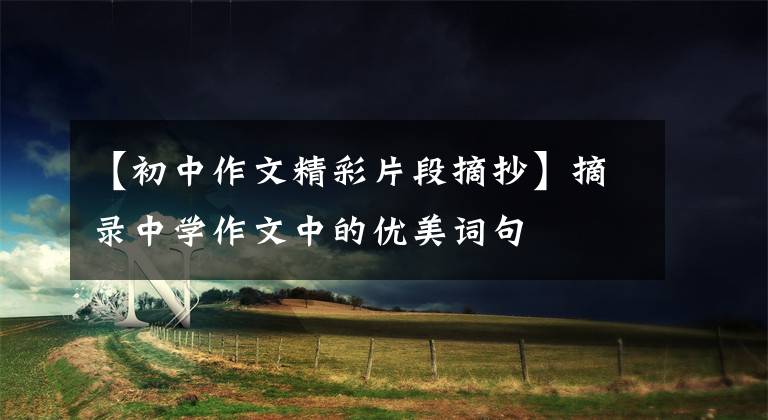 【初中作文精彩片段摘抄】摘录中学作文中的优美词句