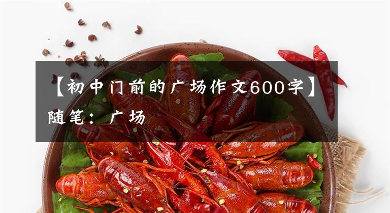 【初中门前的广场作文600字】随笔:广场