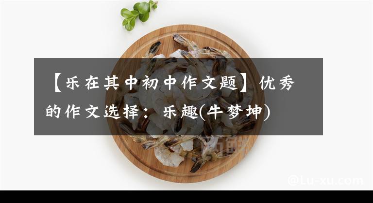 【乐在其中初中作文题】优秀的作文选择：乐趣(牛梦坤)
