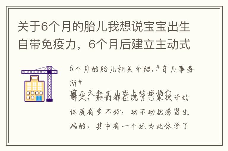 关于6个月的胎儿我想说宝宝出生自带免疫力,6个月后建立主动式免疫,几种营养素不可缺