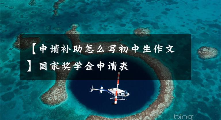 【申请补助怎么写初中生作文】国家奖学金申请表