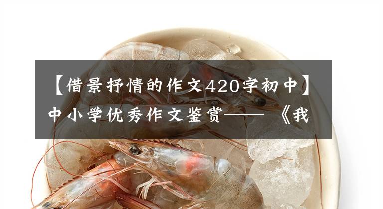 【借景抒情的作文420字初中】中小学优秀作文鉴赏—— 《我爱家乡的小溪》 《班上有“诗迷”》