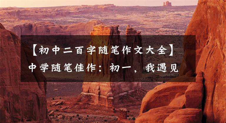 【初中二百字随笔作文大全】中学随笔佳作:初一,我遇见的那些美丽的作品。