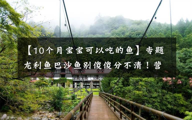 【10个月宝宝可以吃的鱼】专题龙利鱼巴沙鱼别傻傻分不清!营养差10倍,简单煎一煎就喷香好吃