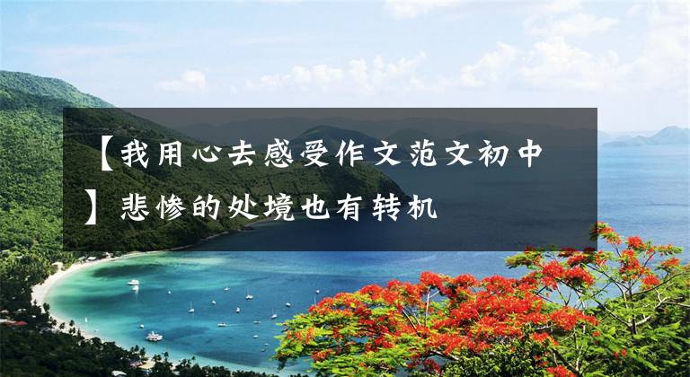 【我用心去感受作文范文初中】悲惨的处境也有转机