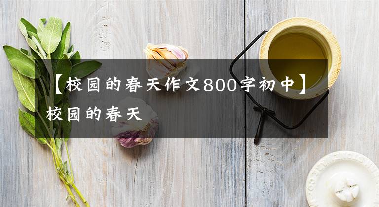【校园的春天作文800字初中】校园的春天