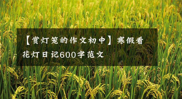 【赏灯笼的作文初中】寒假看花灯日记600字范文