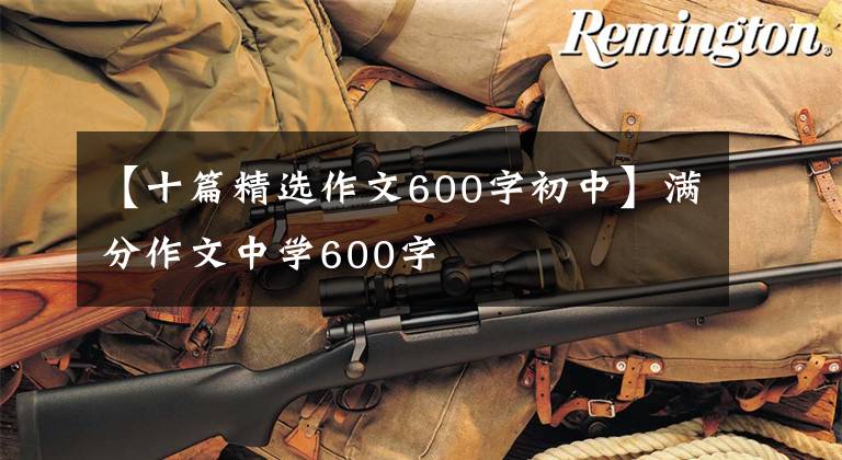 【十篇精选作文600字初中】满分作文中学600字