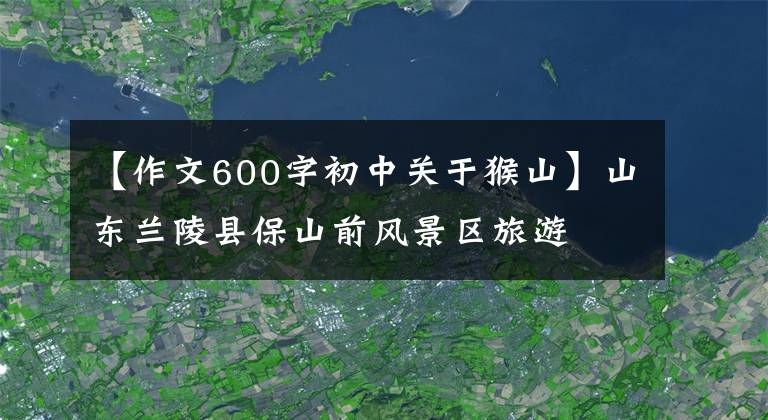 【作文600字初中关于猴山】山东兰陵县保山前风景区旅游