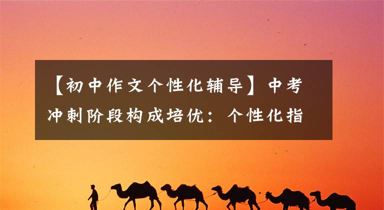 【初中作文个性化辅导】中考冲刺阶段构成培优:个性化指导,只有5分