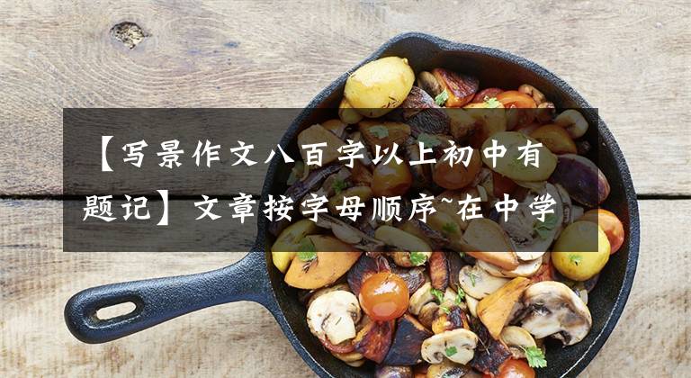 【写景作文八百字以上初中有题记】文章按字母顺序~在中学作文中写作文