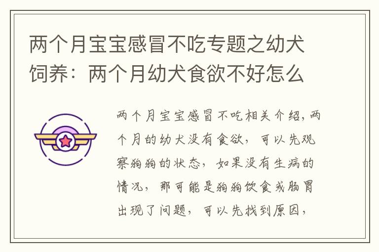 两个月宝宝感冒不吃专题之幼犬饲养:两个月幼犬食欲不好怎么办?针对原因采取措施