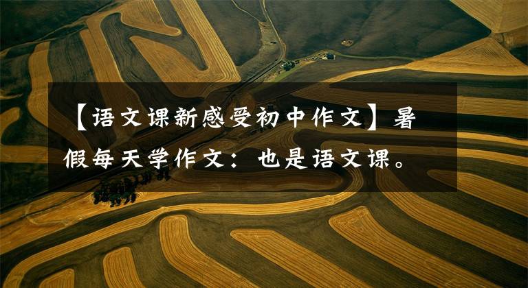 【语文课新感受初中作文】暑假每天学作文：也是语文课。(我在生活中学了国语，尝到了乐趣。）