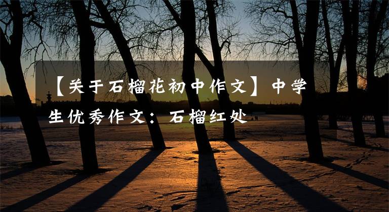 【关于石榴花初中作文】中学生优秀作文:石榴红处