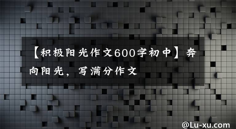 【积极阳光作文600字初中】奔向阳光，写满分作文