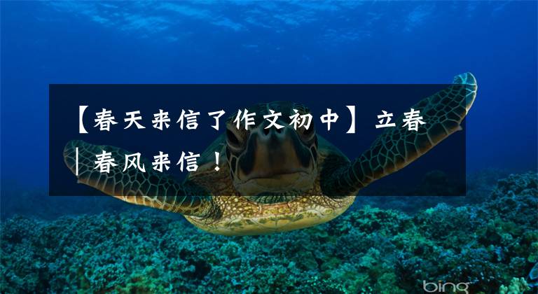 【春天来信了作文初中】立春|春风来信!