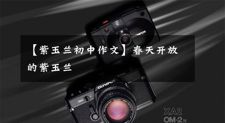 【紫玉兰初中作文】春天开放的紫玉兰