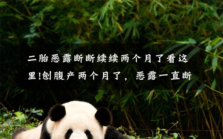 二胎恶露断断续续两个月了看这里!刨腹产两个月了,恶露一直断断续续的,求万能的妈妈帮给我点建议