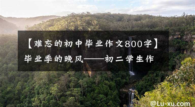 【难忘的初中毕业作文800字】毕业季的晚风——初二学生作文赏析
