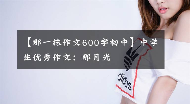 【那一抹作文600字初中】中学生优秀作文:那月光