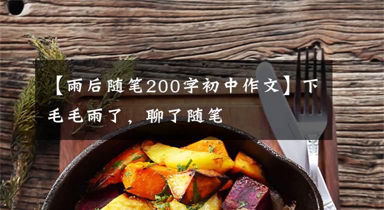 【雨后随笔200字初中作文】下毛毛雨了,聊了随笔