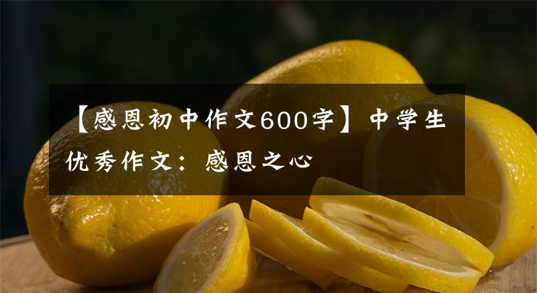 【感恩初中作文600字】中学生优秀作文：感恩之心