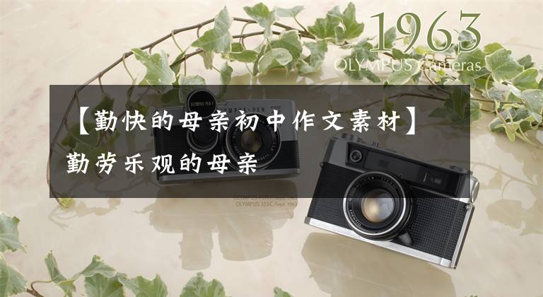 【勤快的母亲初中作文素材】勤劳乐观的母亲