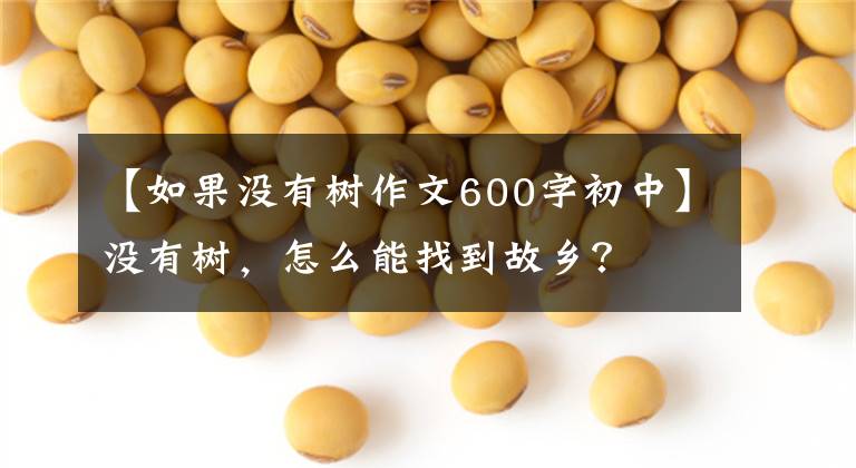 【如果没有树作文600字初中】没有树,怎么能找到故乡?