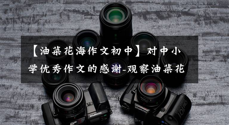 【油菜花海作文初中】对中小学优秀作文的感谢-观察油菜花的作文(精选5篇)