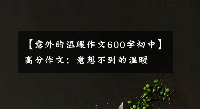 【意外的温暖作文600字初中】高分作文:意想不到的温暖