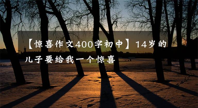 【惊喜作文400字初中】14岁的儿子要给我一个惊喜