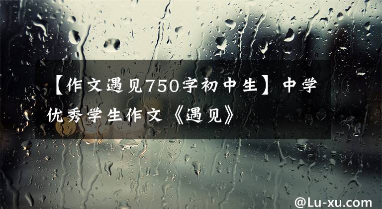 【作文遇见750字初中生】中学优秀学生作文《遇见》