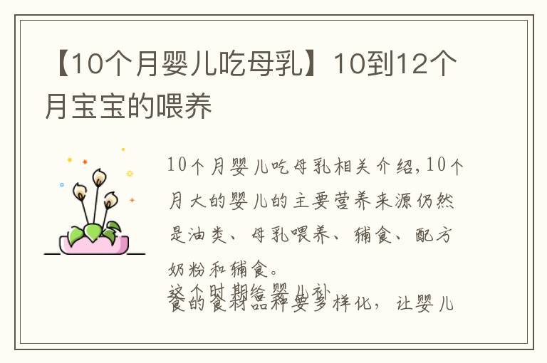 【10个月婴儿吃母乳】10到12个月宝宝的喂养