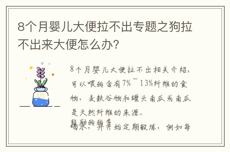 8个月婴儿大便拉不出专题之狗拉不出来大便怎么办?