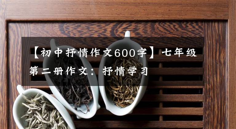 【初中抒情作文600字】七年级第二册作文:抒情学习